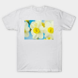 Narcissus  &#39;Pacific Coast&#39;  AGM    Division 8 Tazetta Daffodil T-Shirt